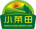 小菜田Logo